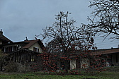 p1000007.jpg