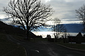 p1000012.jpg