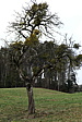 p1000017.jpg