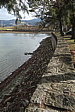 p1000020.jpg