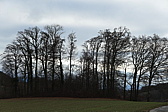 p1000023.jpg