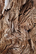 p1000027.jpg