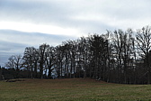p1000030.jpg