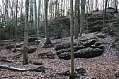 p1000031.jpg