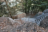 p1000033.jpg