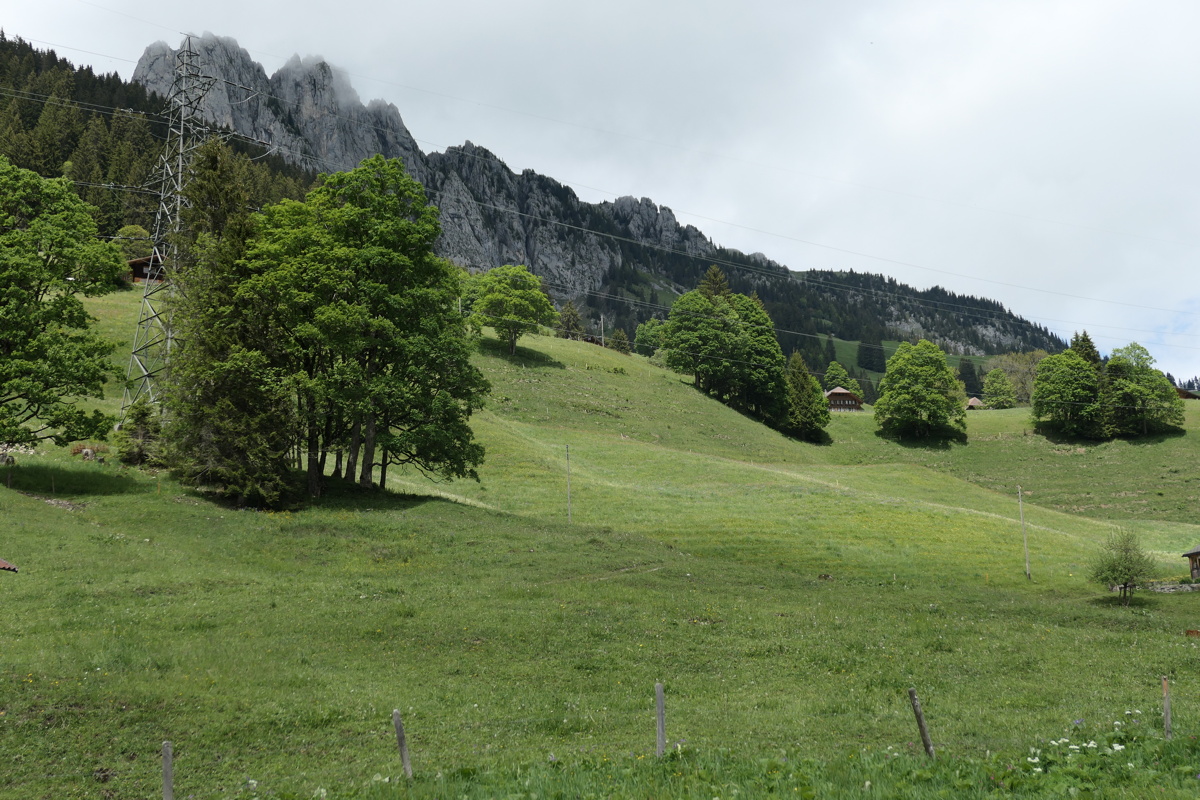 p1010024.jpg
