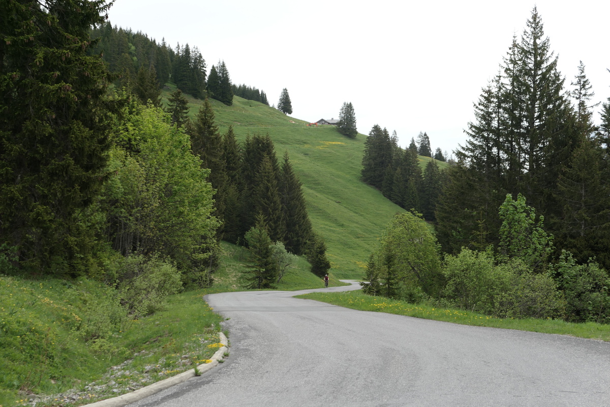 p1010087.jpg