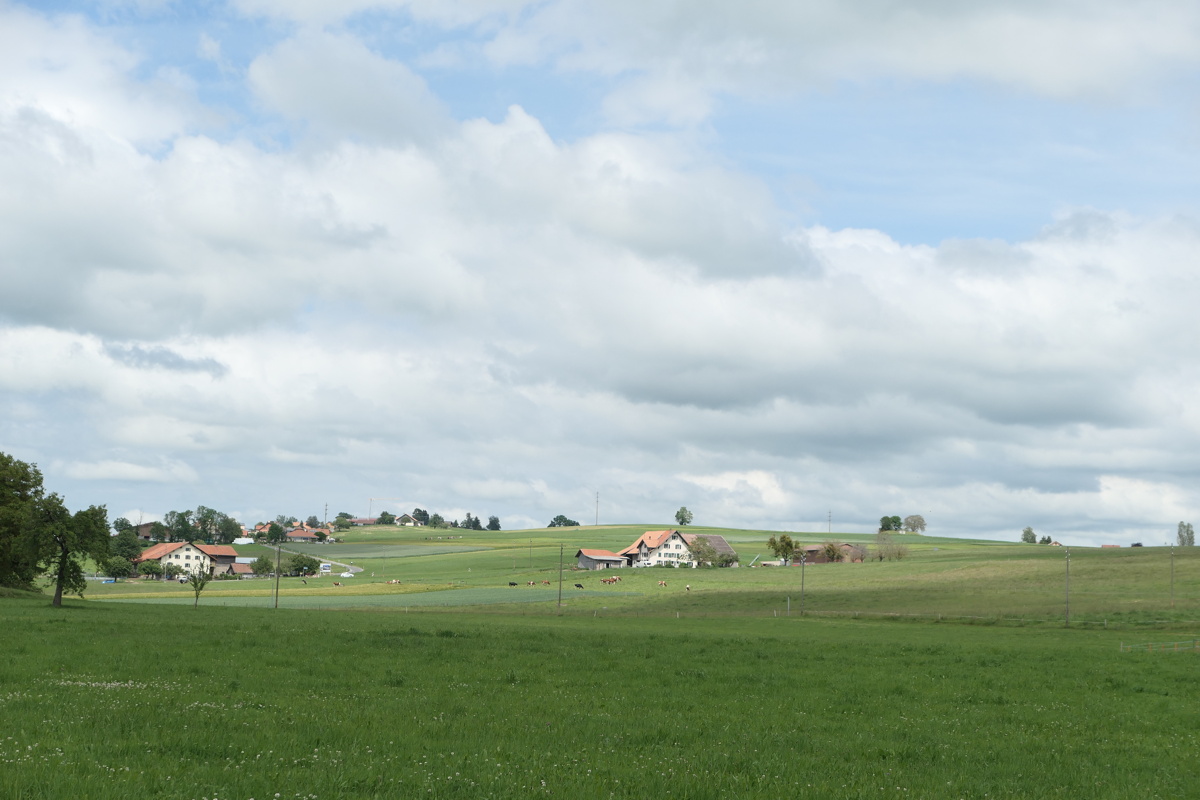 p1010121.jpg