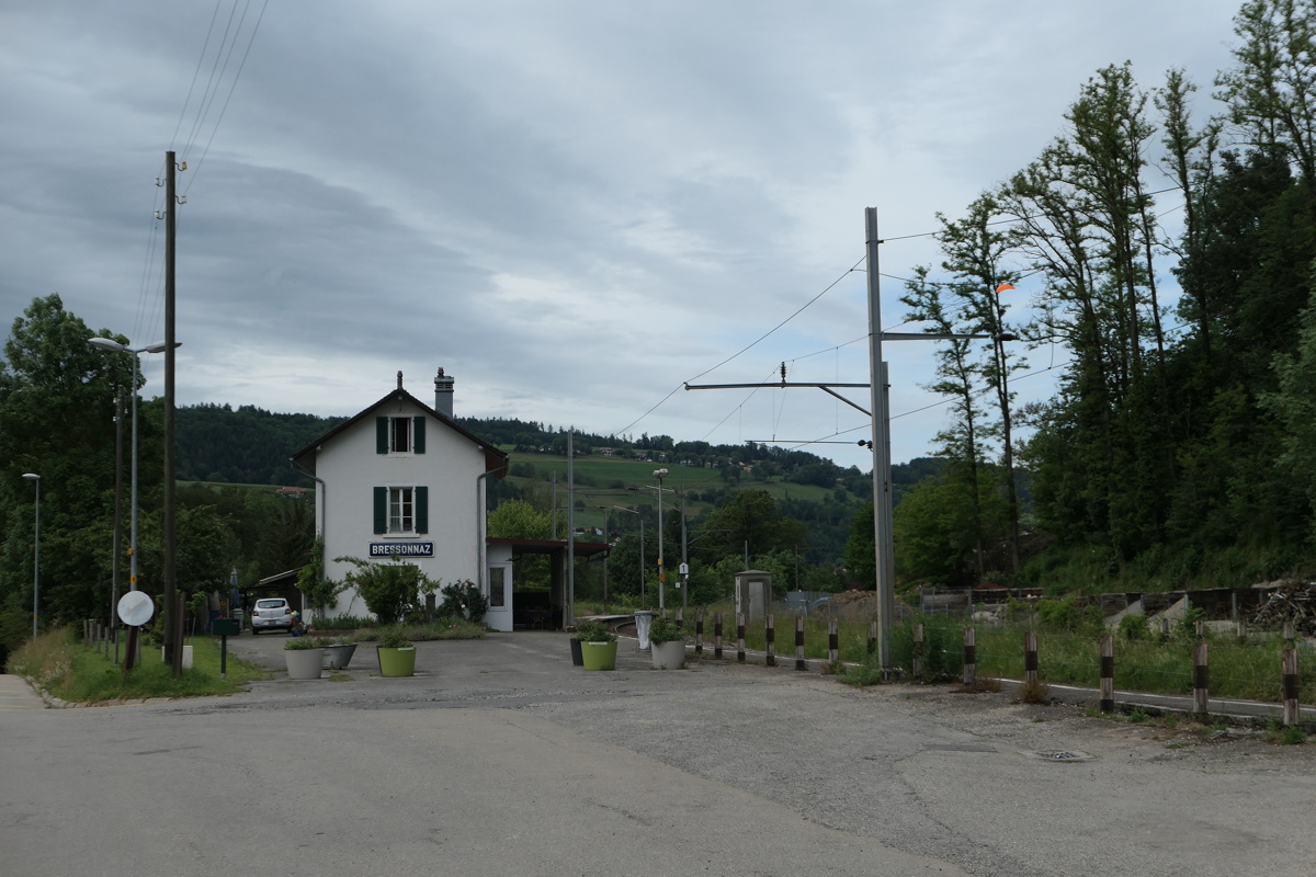 p1010130.jpg