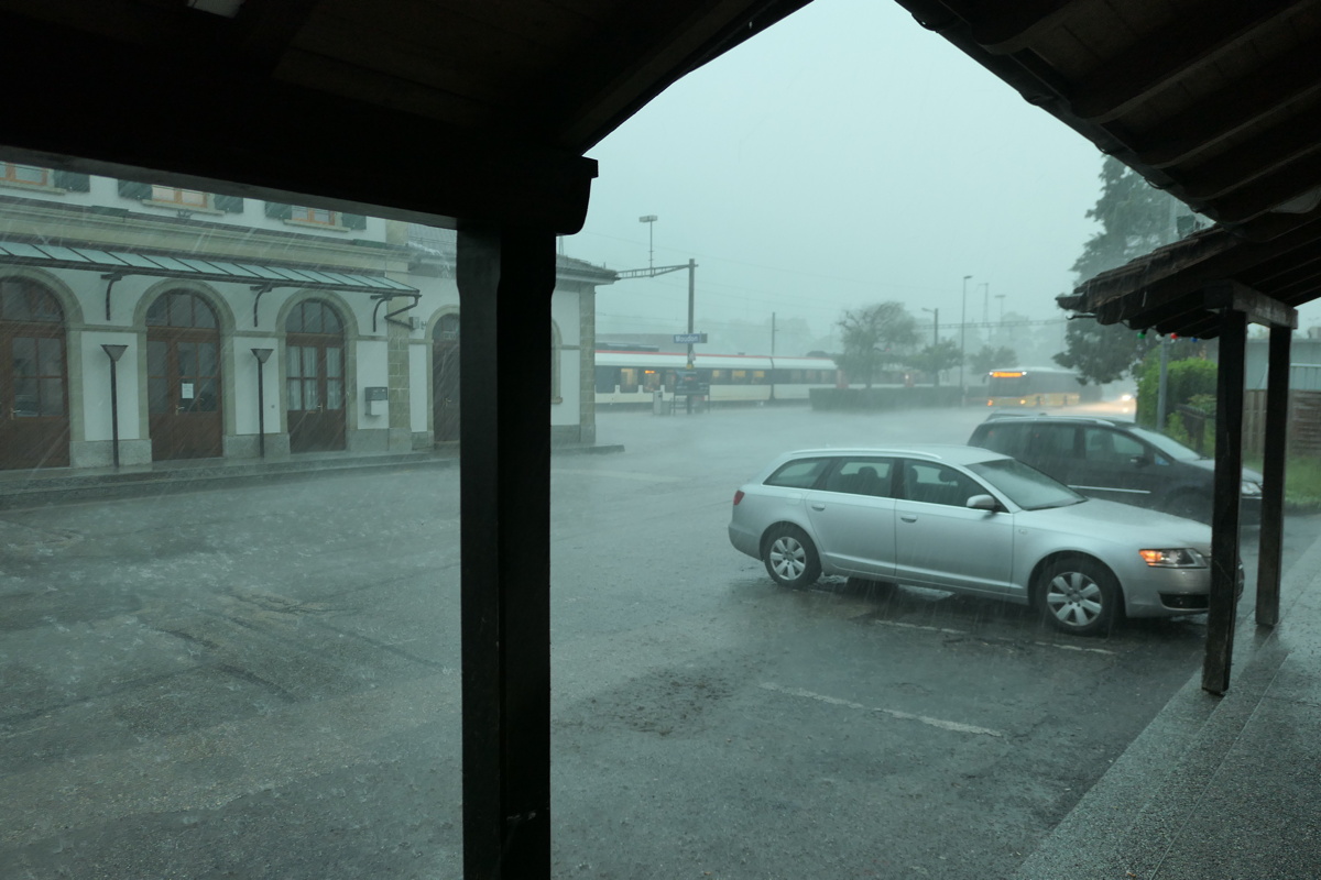 p1010131.jpg