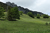 p1010024.jpg