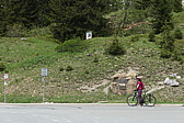 p1010090.jpg