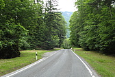 p1010102.jpg