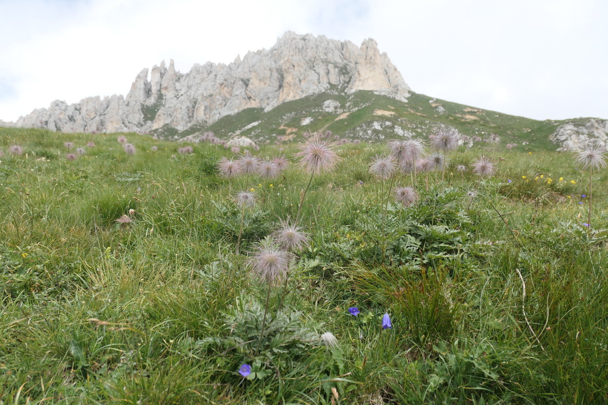 p1010650.jpg