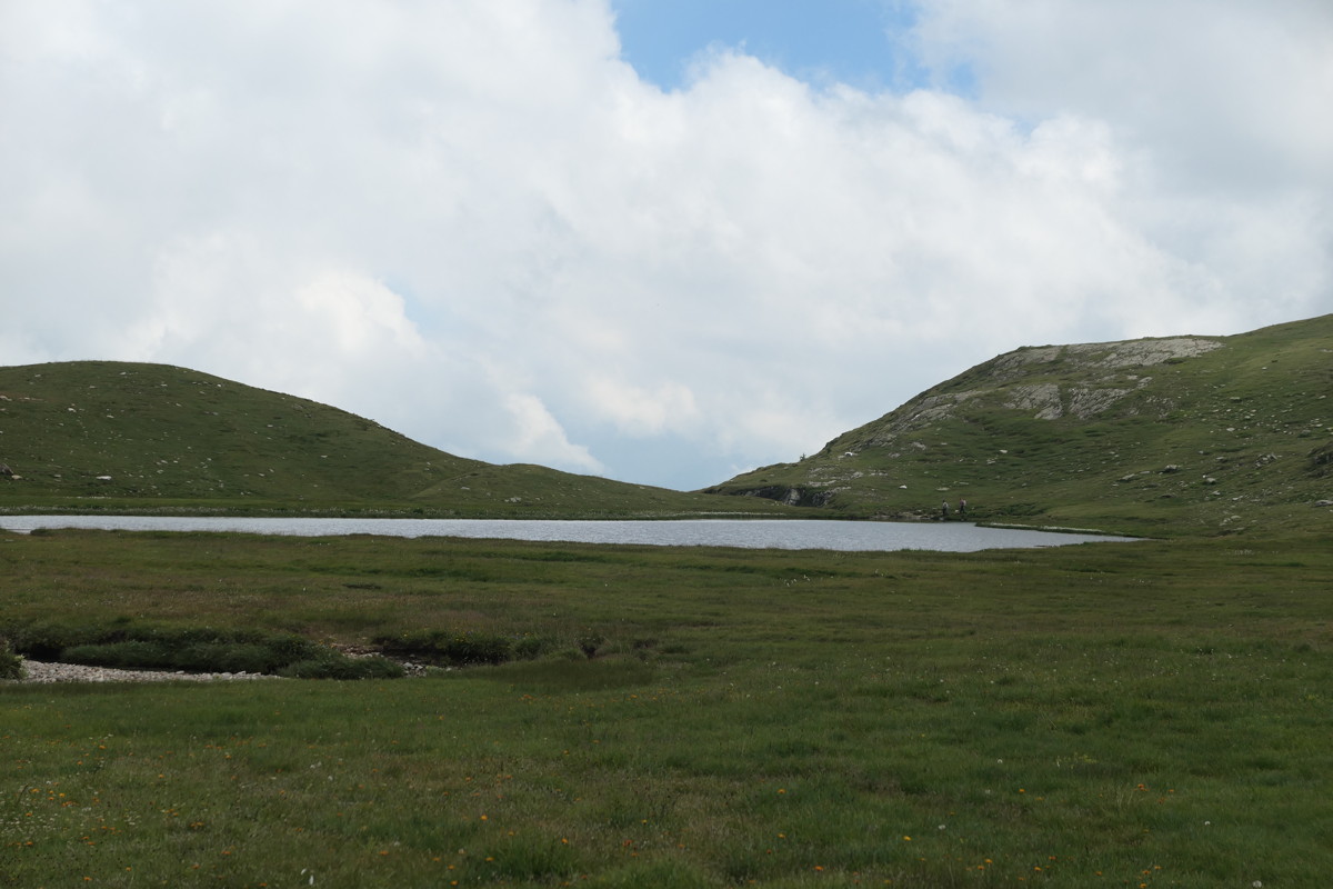 p1010652.jpg