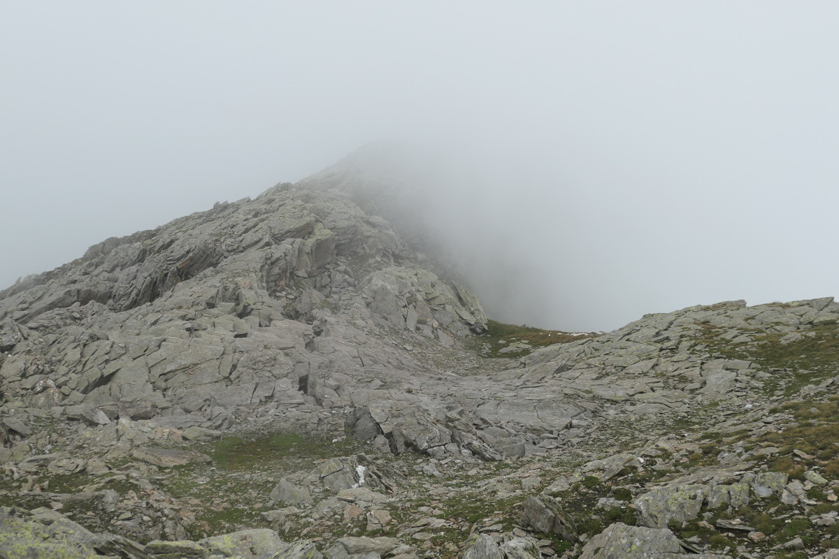 p1010656.jpg