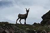 p1010629.jpg