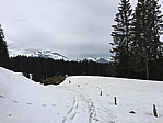 img_1614.jpg
