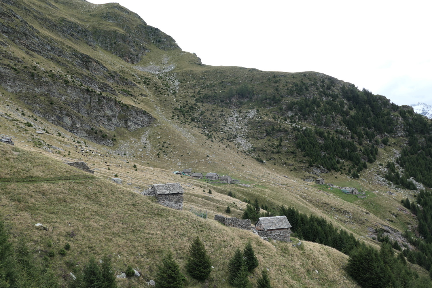 p1010712.jpg