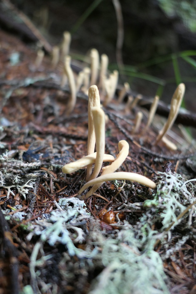p1010715.jpg