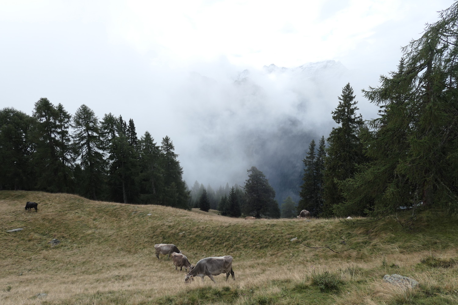 p1010754.jpg