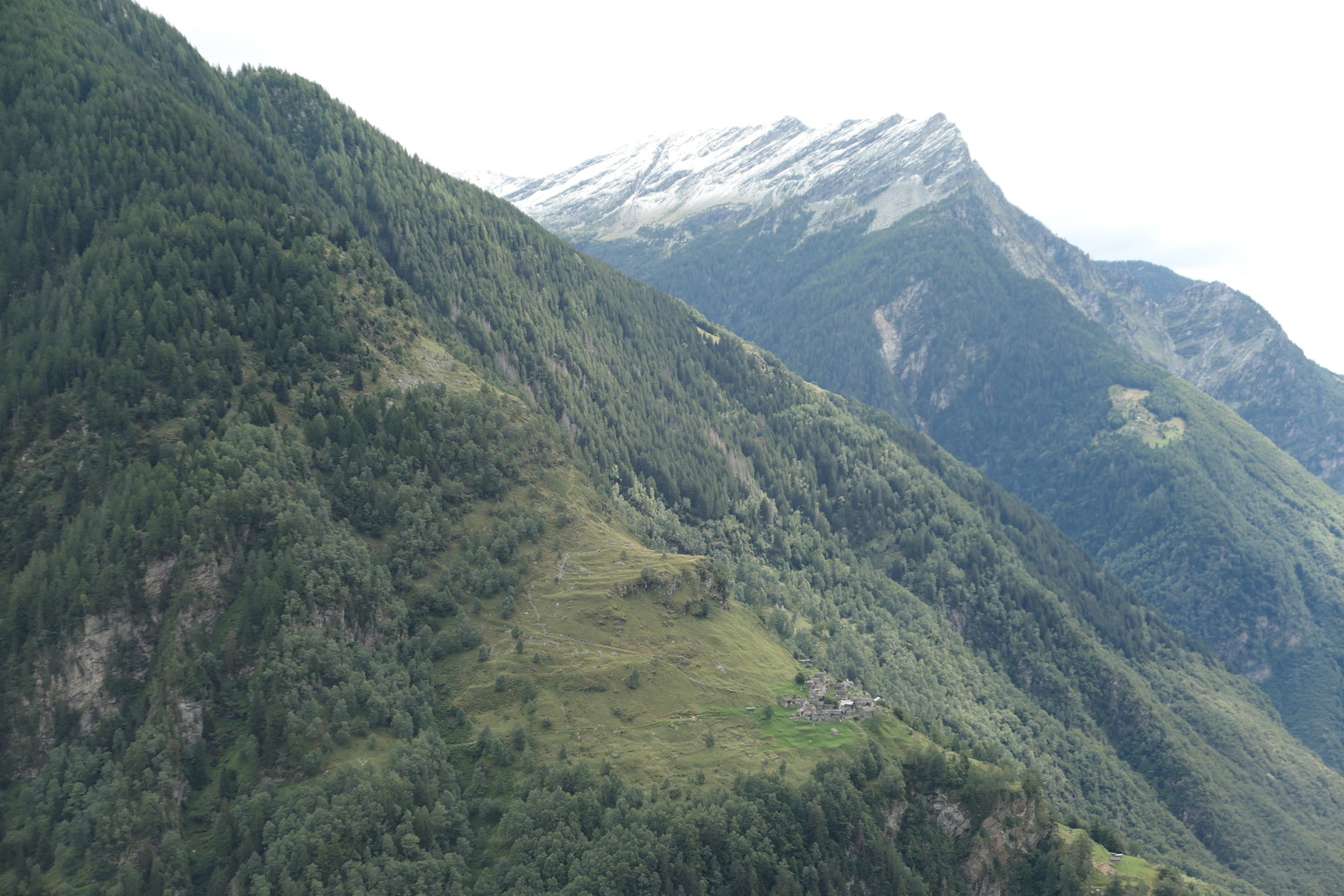 p1010757.jpg