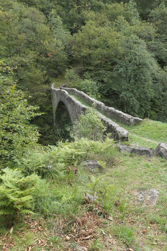 p1010760.jpg