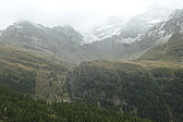 p1010728.jpg
