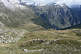p1010738.jpg