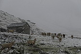 p1010750.jpg