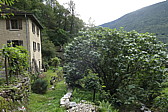p1010763.jpg