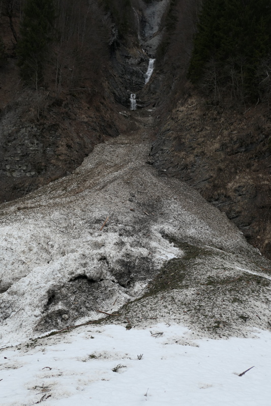 p1000539.jpg