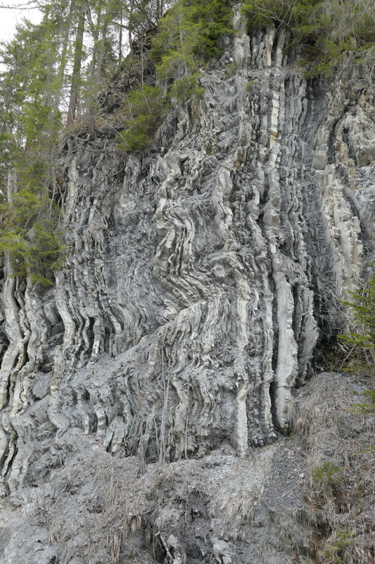 p1000545.jpg