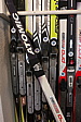 p1000213.jpg