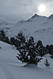 p1000182.jpg
