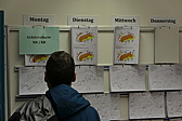 p1000185.jpg