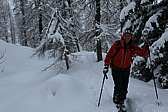 p1000196.jpg