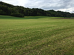 img_1629.jpg