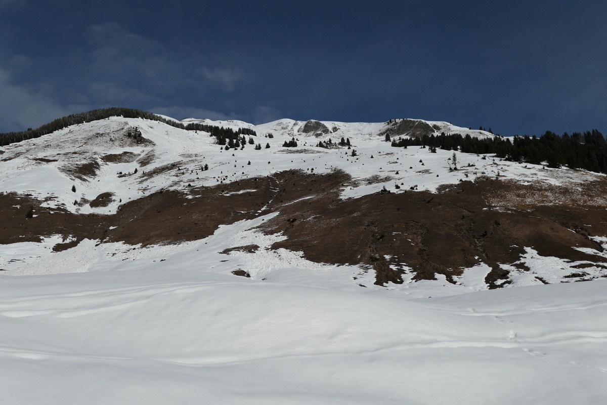 p1000341.jpg
