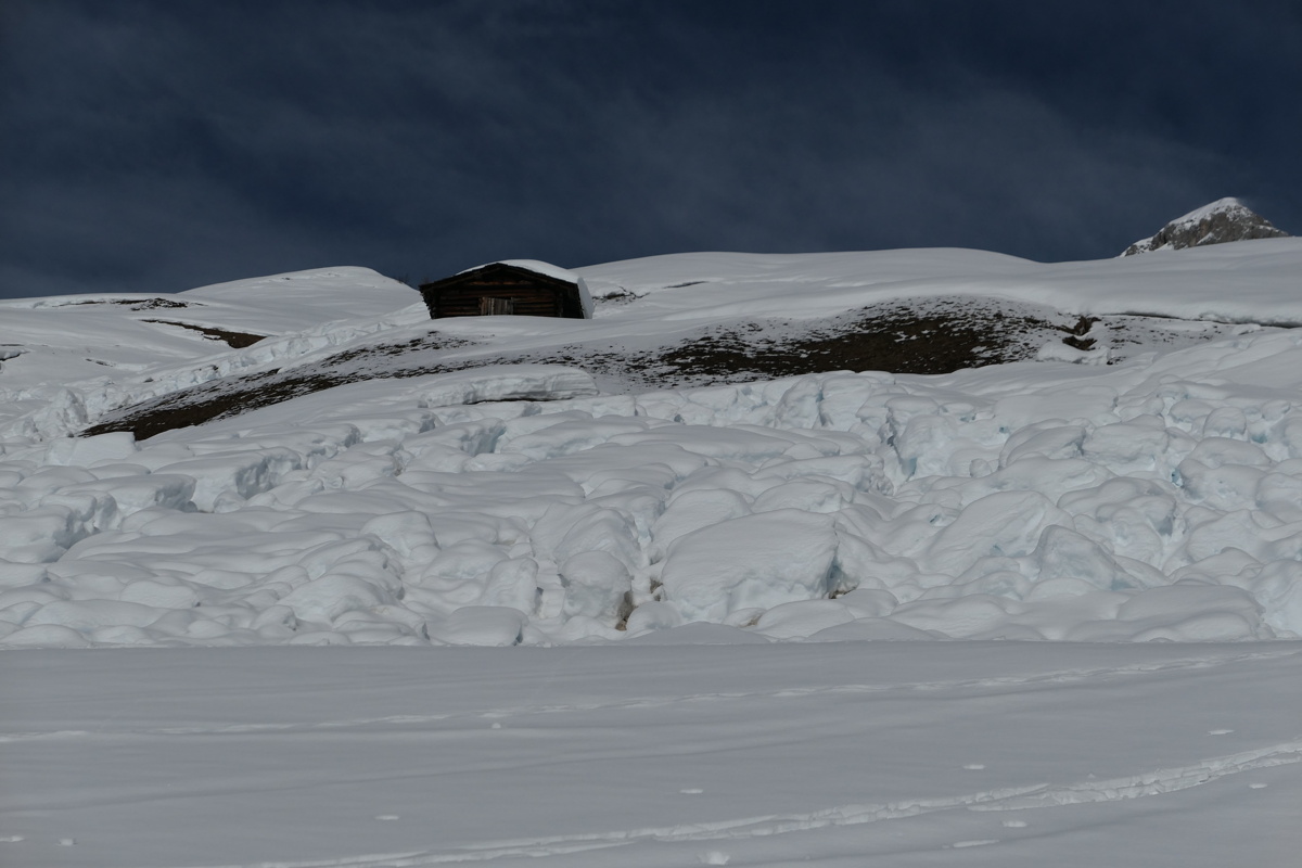 p1000343.jpg