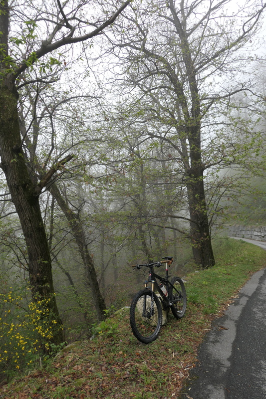 p1000864.jpg