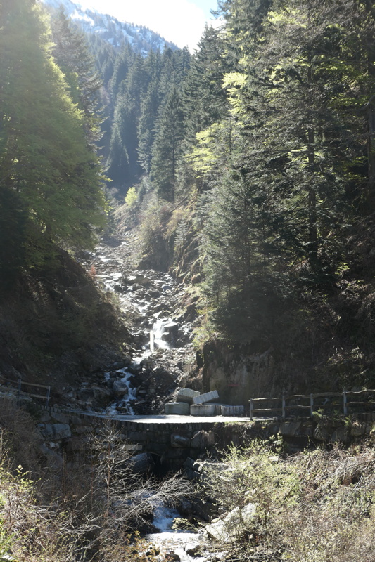 p1000865.jpg
