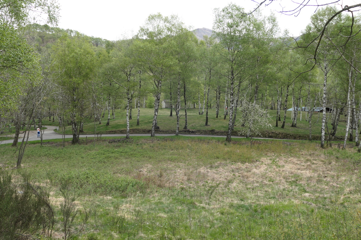 p1000879.jpg