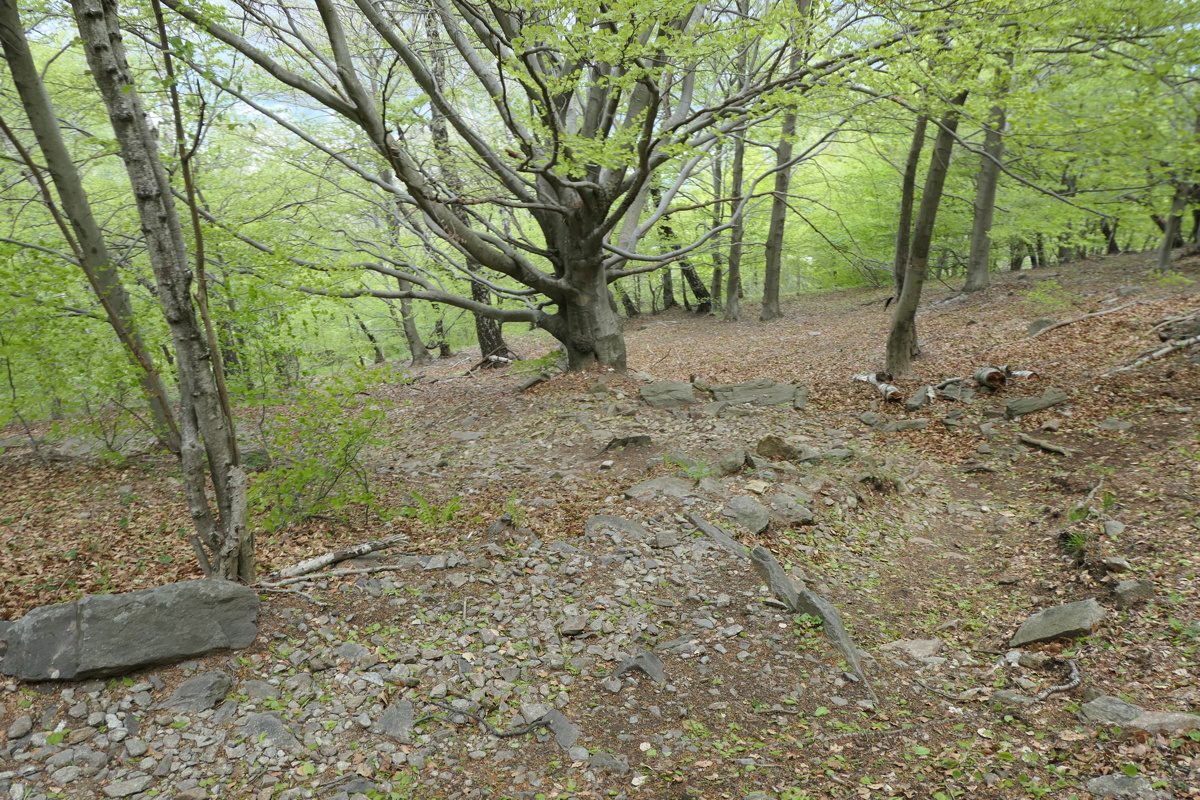 p1000883.jpg