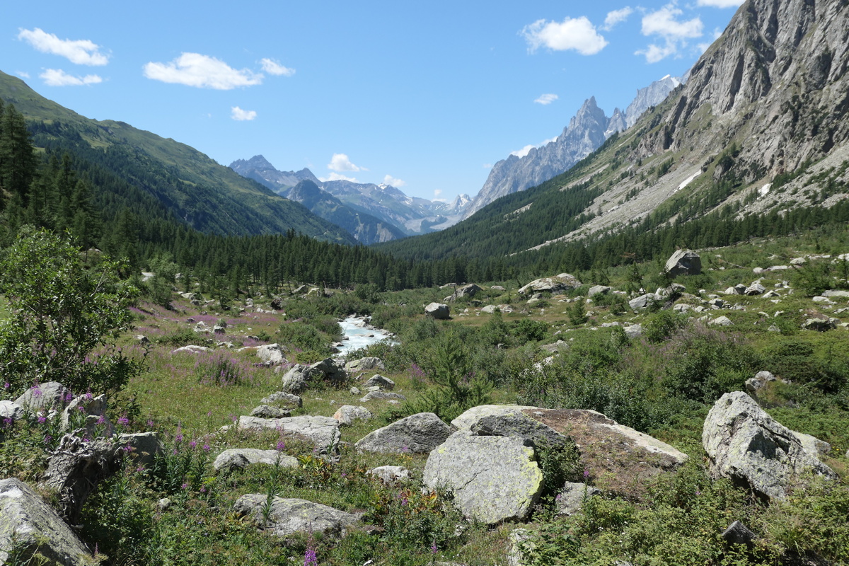 p1010459.jpg