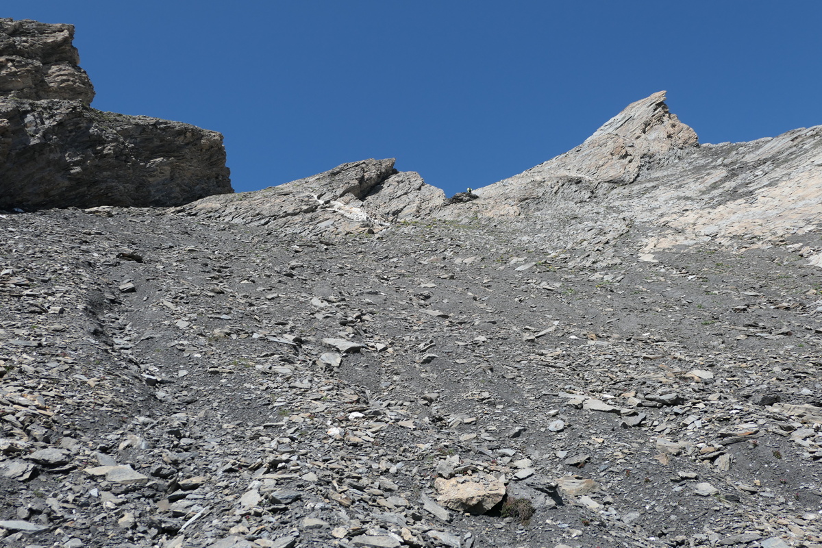 p1010476.jpg