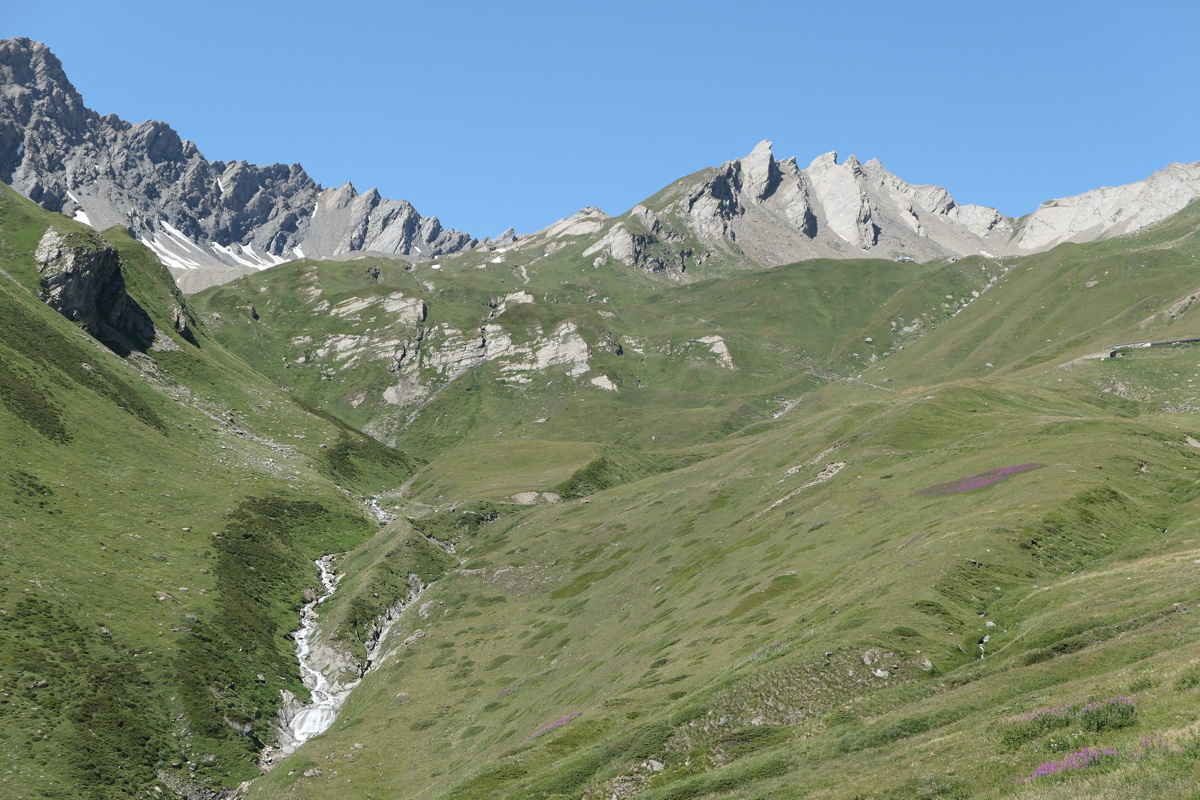 p1010484.jpg