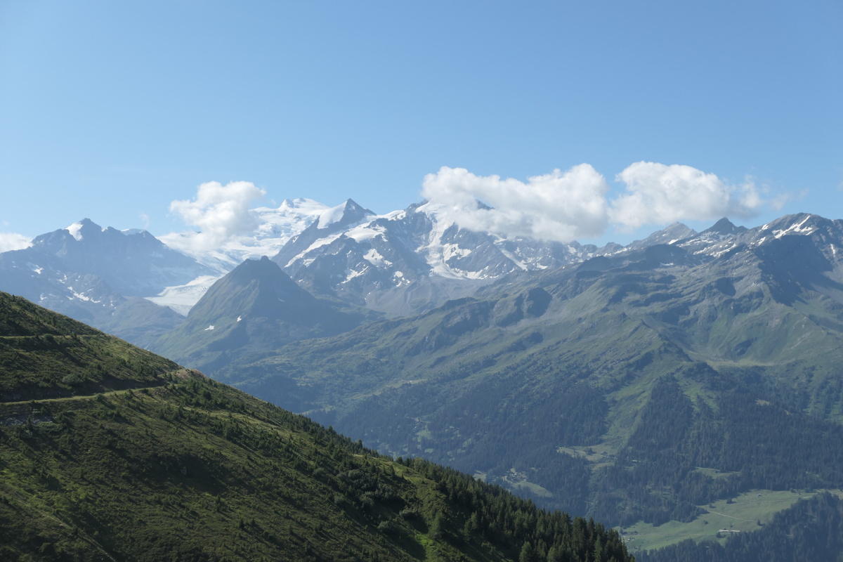 p1010550.jpg