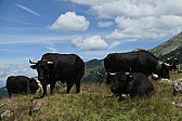p1010566.jpg