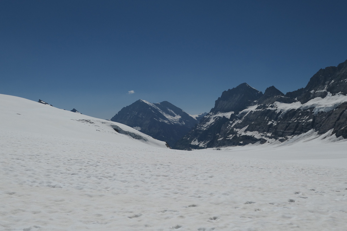p1010237.jpg